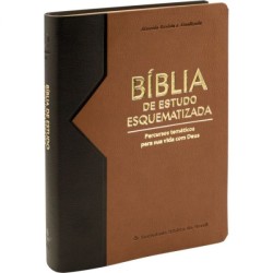 Bíblia de Estudo Esquematizada | Bicolor (RA085EESQ)